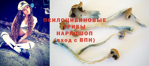 гидра Алзамай